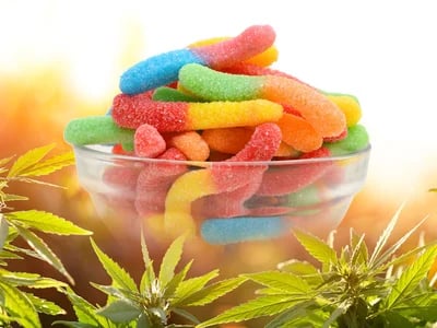 Understanding Edibles in the UK Market and What Consumers Should Know