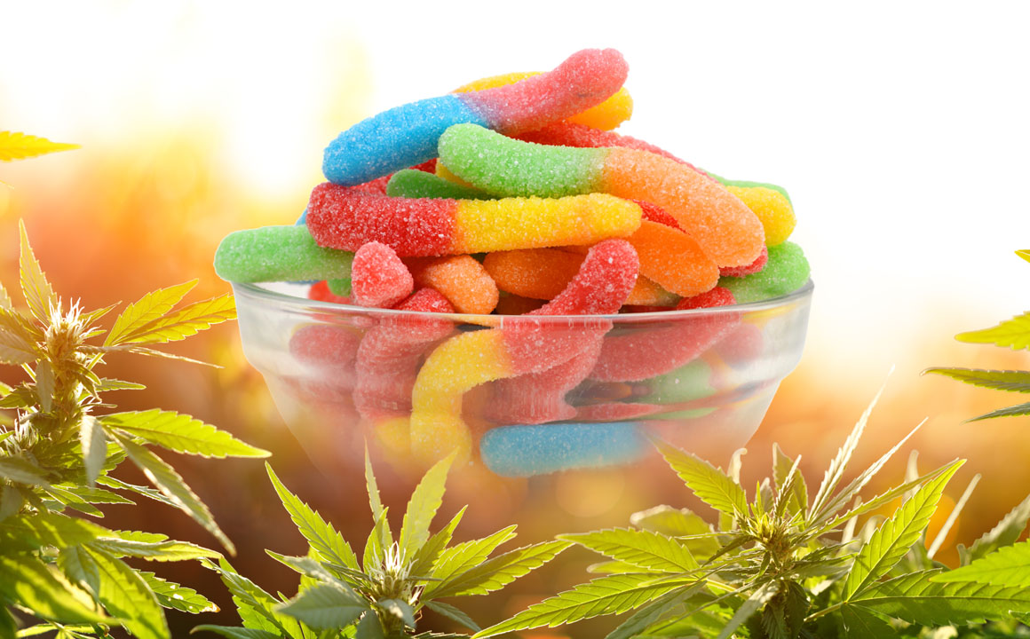 Understanding Edibles in the UK Market and What Consumers Should Know